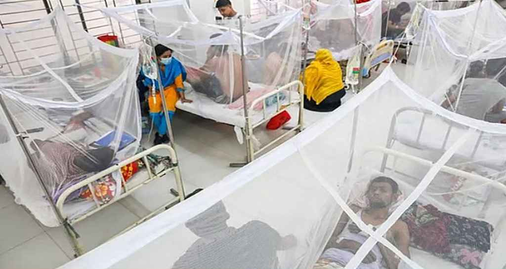 ডেঙ্গুতে আরও ৪ জনের মৃত্যু, হাসপাতালে ৮৪৫