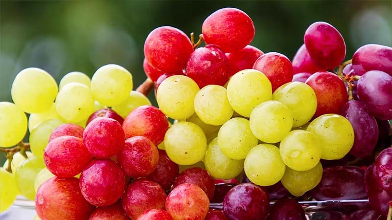 লাল না সবুজ, কোন রঙের আঙুরে উপকারিতা বেশি