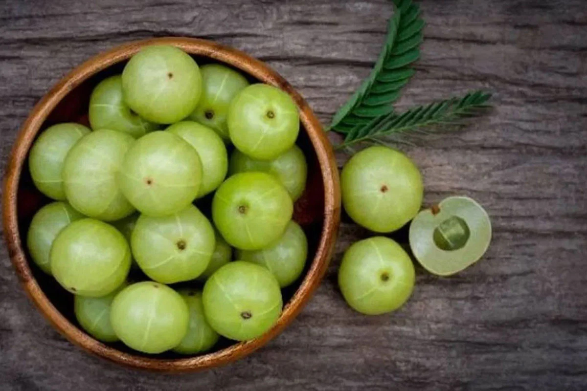 আমলকি খাওয়ার ১০ উপকারিতা